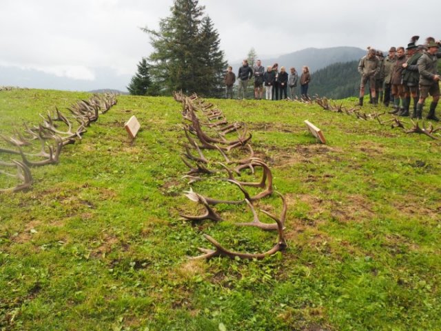 201907 - Abwurfstangenschau Rauschalm